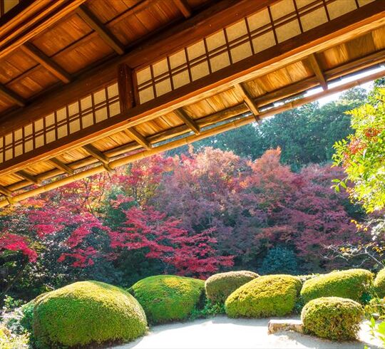 造園